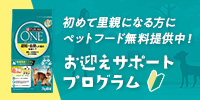 お迎えサポートプログラム実施中!