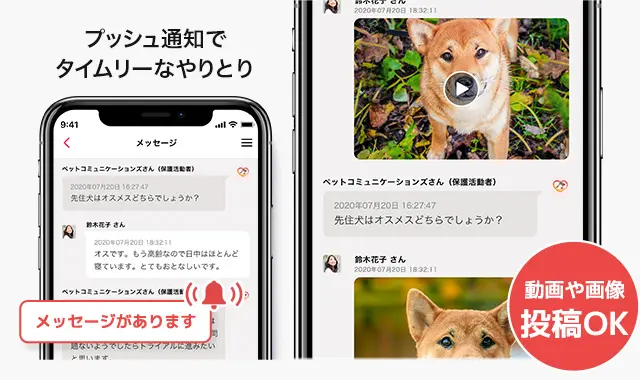 応募者用メッセージ機能