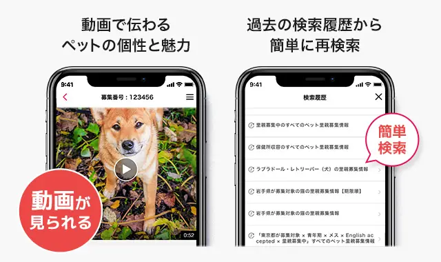 動画閲覧／検索履歴の保存