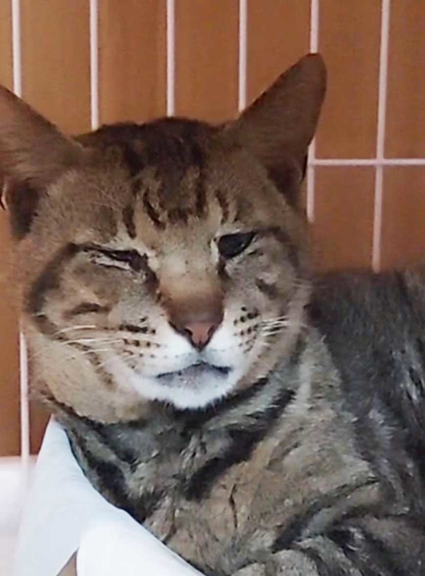 お顔見える.jpg
