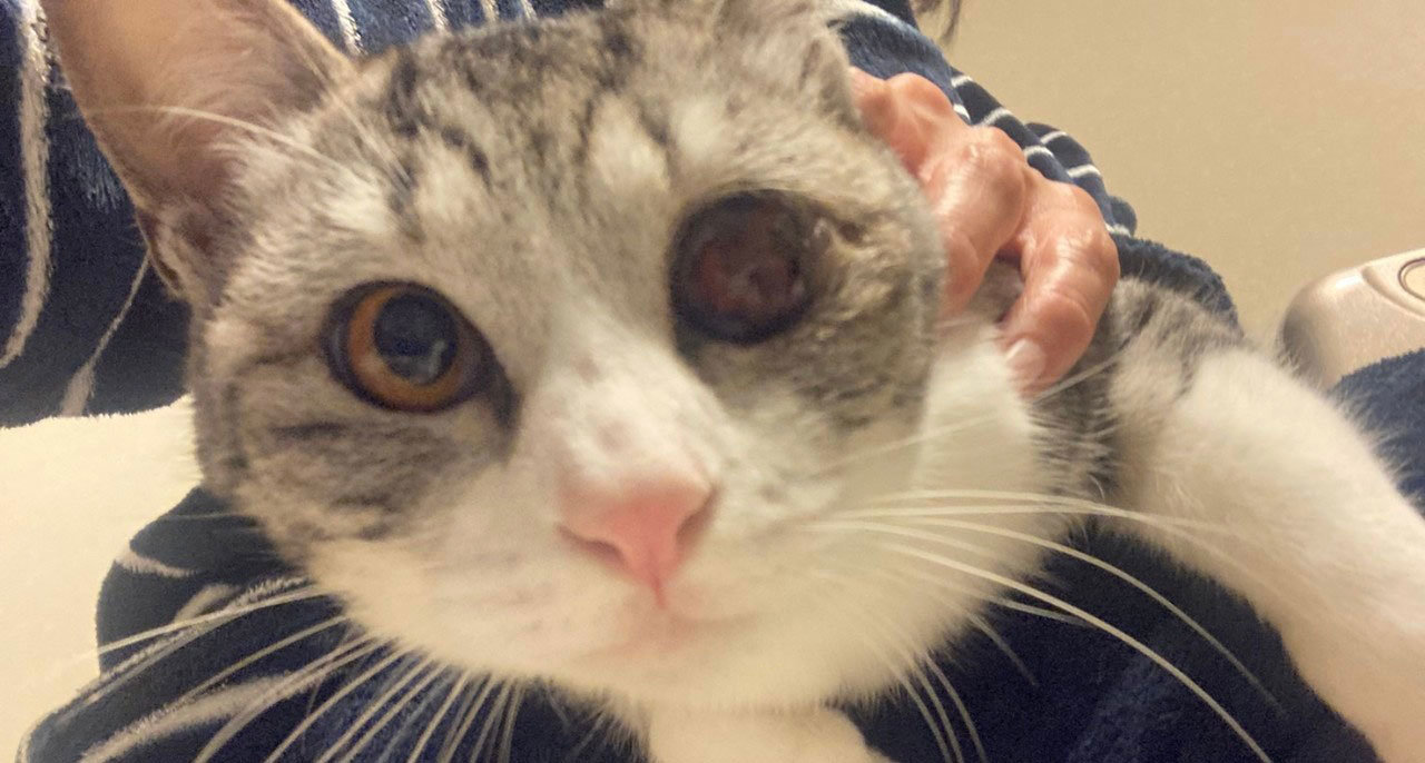 須曽のサバ白さん