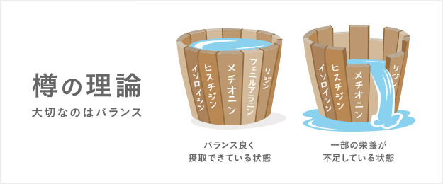 樽の理論 大切なのはバランス