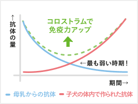 免疫の量／期間