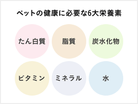 ペットの健康に必要な6大栄養素 たん白質／脂肪／炭水化物／ビタミン／ミネラル／水
