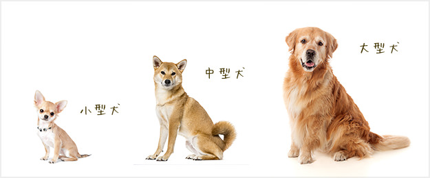 犬種（サイズ）に合わせたフードを選ぼう