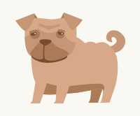 老犬用フードの特徴と選ぶ際のポイント