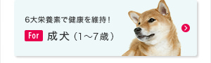 6大栄養素で健康を維持！ For 成犬（1～7歳）