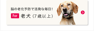 脳の老化予防で活発な毎日！ For 老犬（7歳以上）