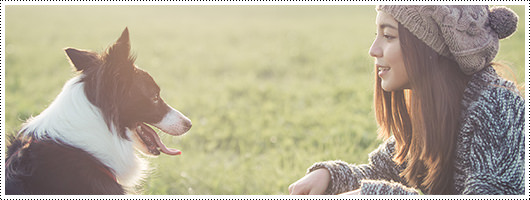 実際に里親になった方を集めて里親トークを開催！