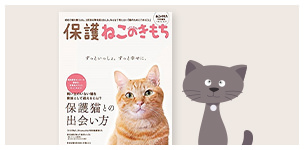 「保護ねこのきもち」即日販売コーナー