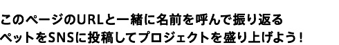 このページのURLと一緒に名前を呼んで振り返るペットをSNSに投稿してプロジェクトを盛り上げよう！