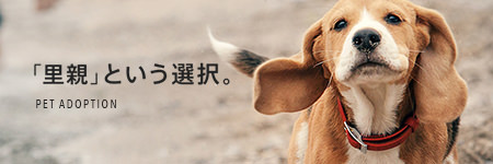 ペットのおうち