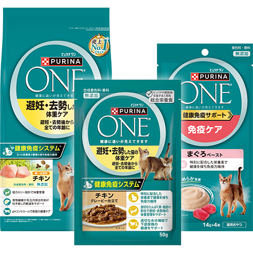 避妊・去勢後から全ての年齢に