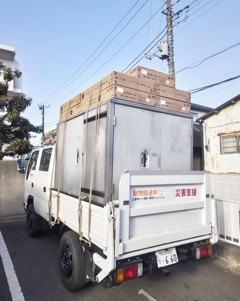 行方不明となっている被災ペット捜索へ