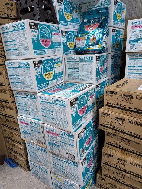 被災地の猫たちにキャットフード約200kgを支援しました。