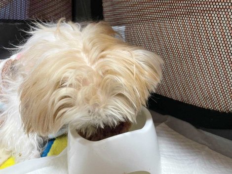 毎日点滴していたジュヨン 介助つきでごはんが食べられるように