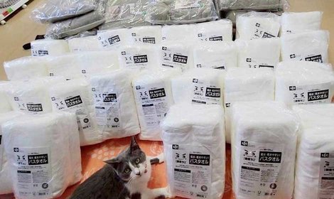 野々市シェルターにマイクロファイバー素材のタオルを送りました