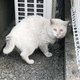 チャレンジ終了のご報告