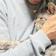 医療費支援のご報告：治療を続けながらも甘えん坊なヨクサル