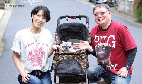 シニア犬はシワの数だけ幸せも増える