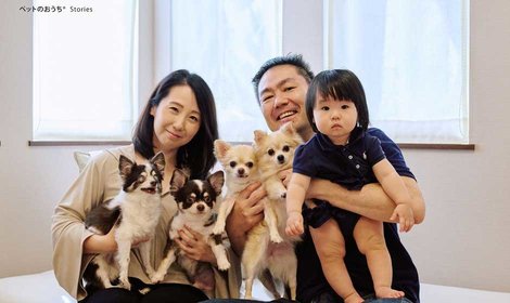 4頭の愛犬が子どもを一緒に見守ってくれる
