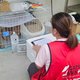 飼い主との再会を待つ猫たちを守る、一時預かりシェルターを開設