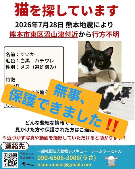 被災地で行方不明になった猫たちが家族のもとへ