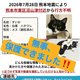 被災地で行方不明になった猫たちが家族のもとへ