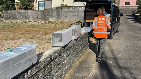 捜索中だった犬・猫、計3頭を無事保護