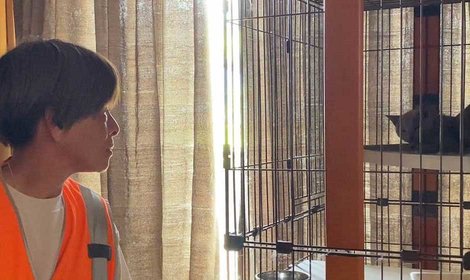地震で逃げ出したシャアちゃん、1ヵ月ぶりに家族のもとへ