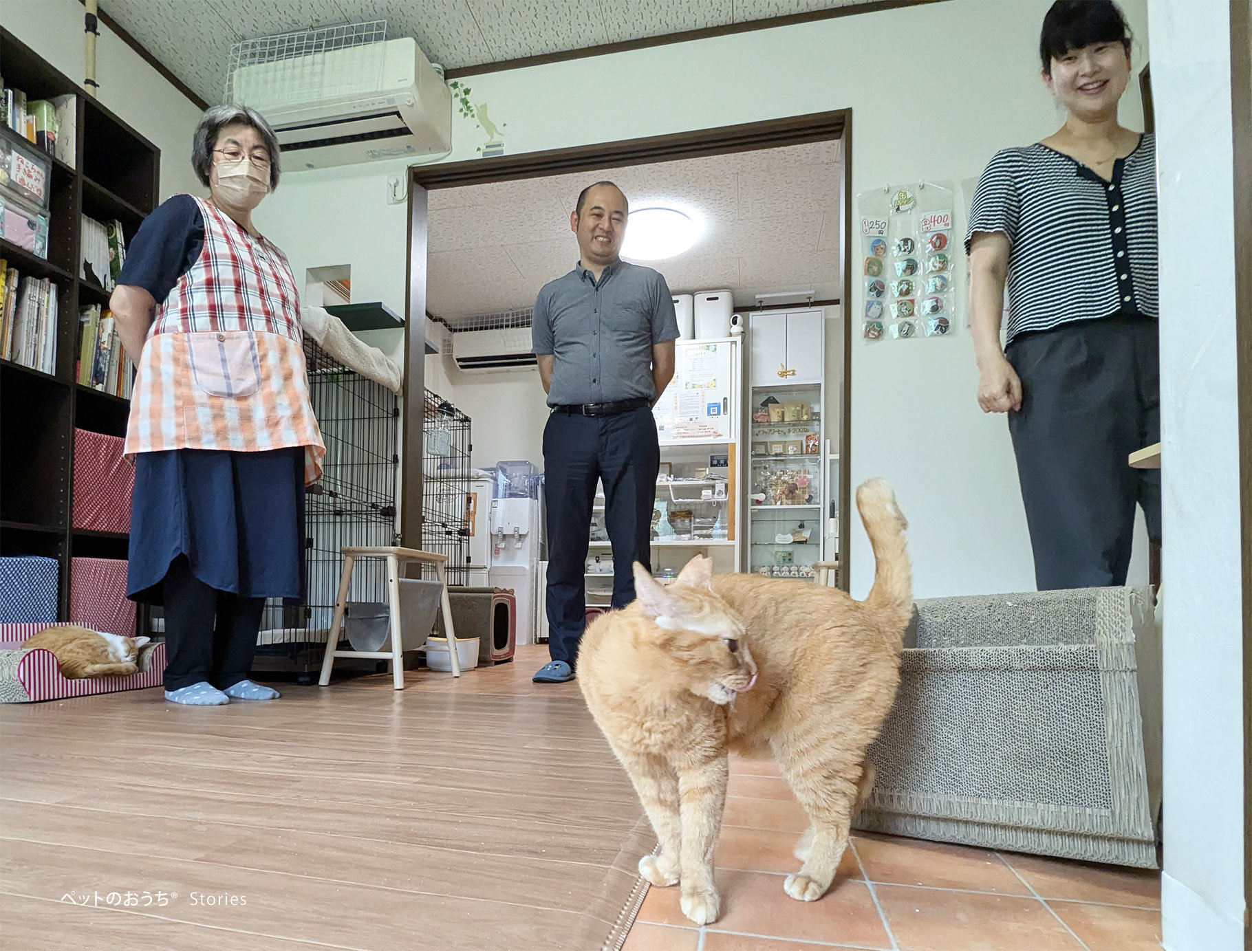 琴は「私に注目して」言わんとばかりに人間の輪の中に入り、アピールします.jpg