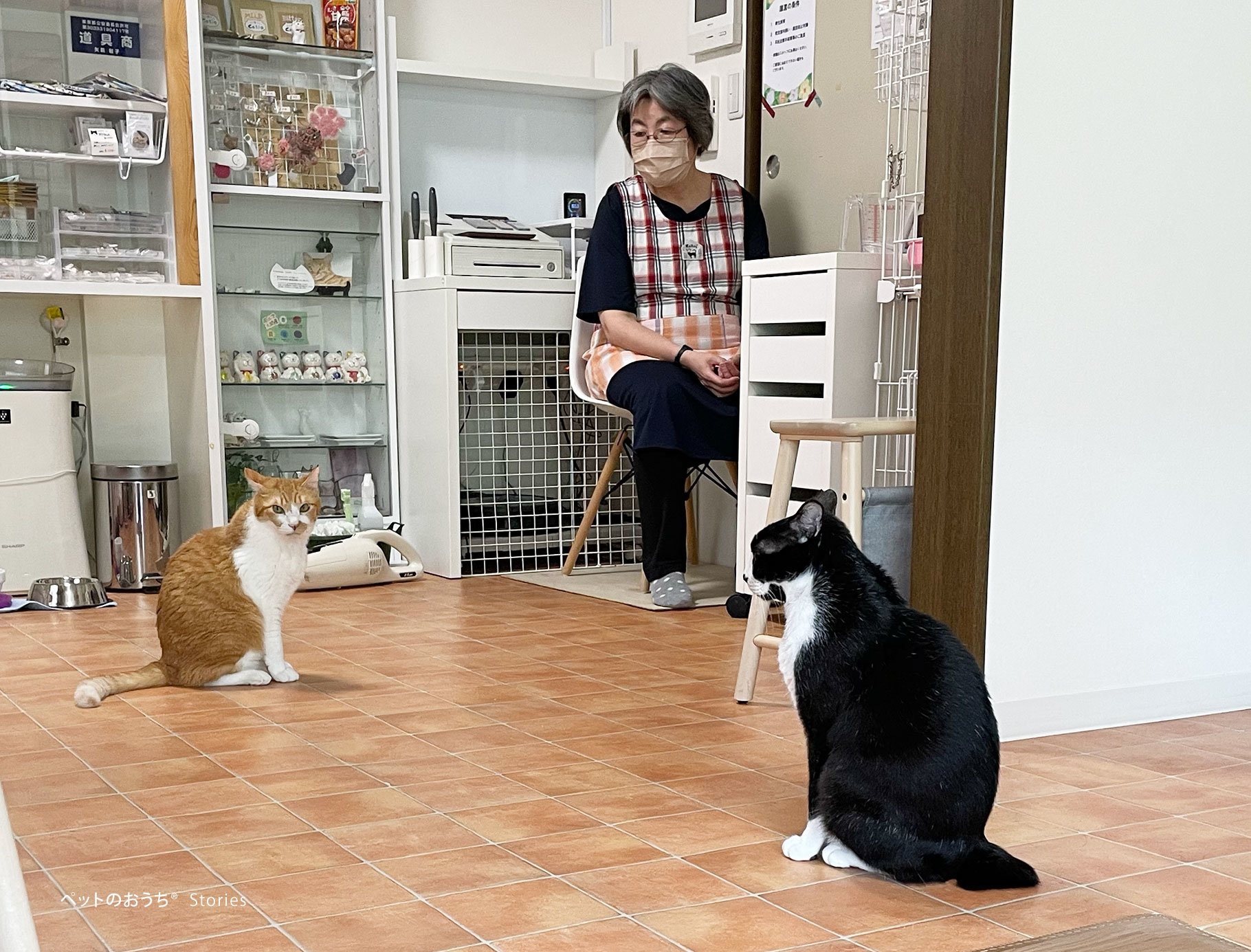 こまめ（左）コウタ（右）を優しく見守るCatioの矢萩さん.jpg