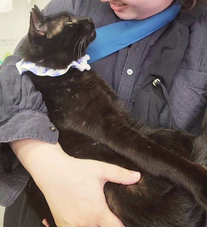 くんろ.jpg