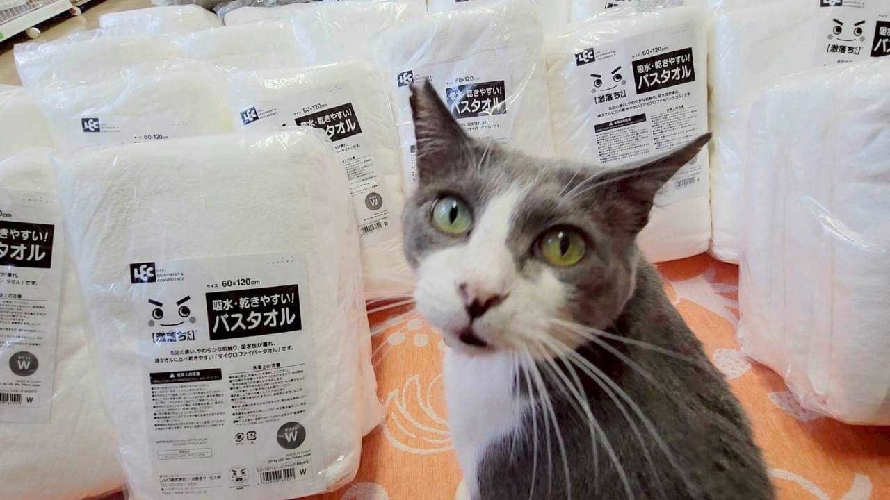 20251202野々市タオルケット4.jpg