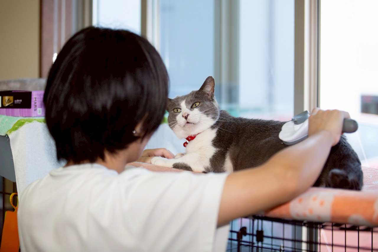 お手入れも.jpg