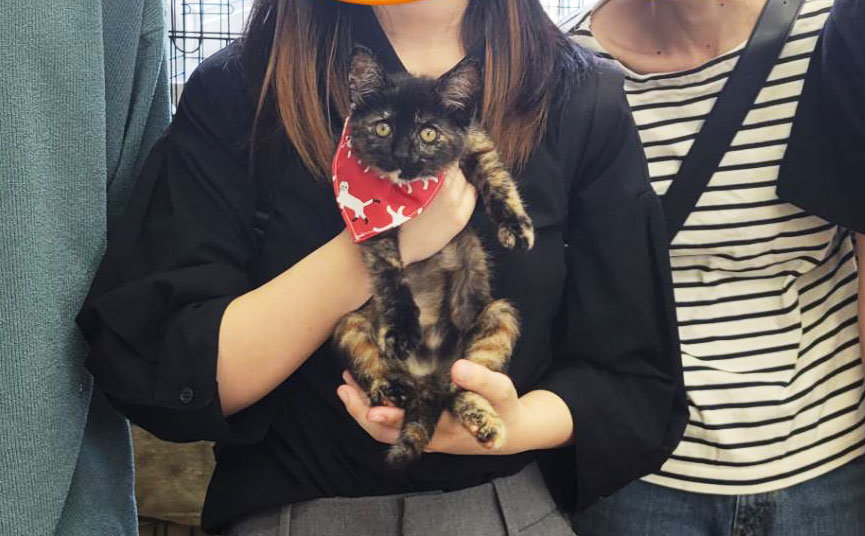 サビ子猫さん.jpg