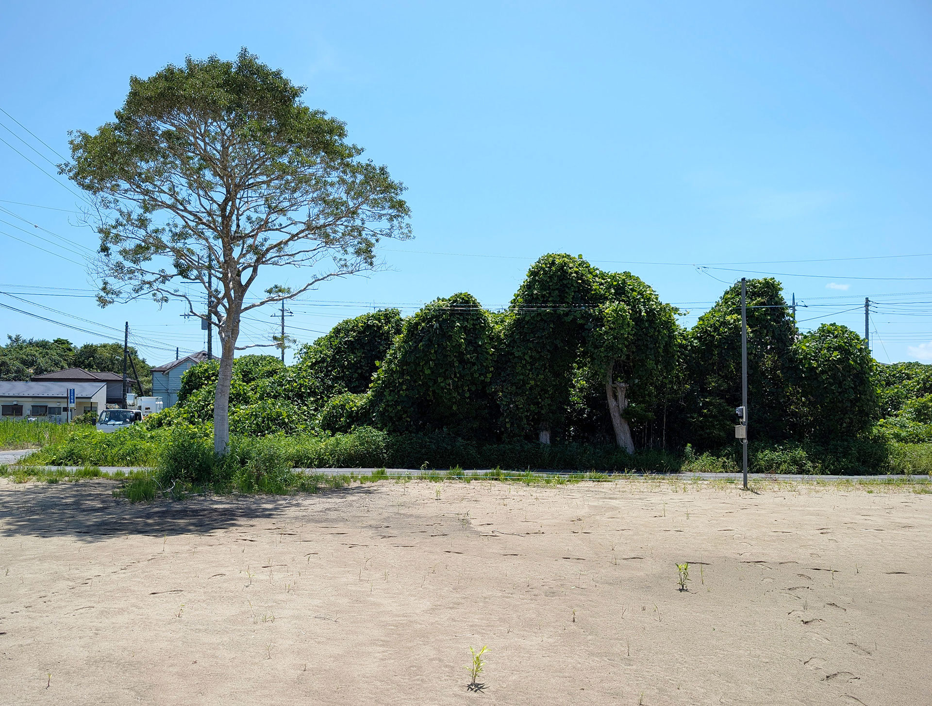 PXL_20260709_034059795.jpg