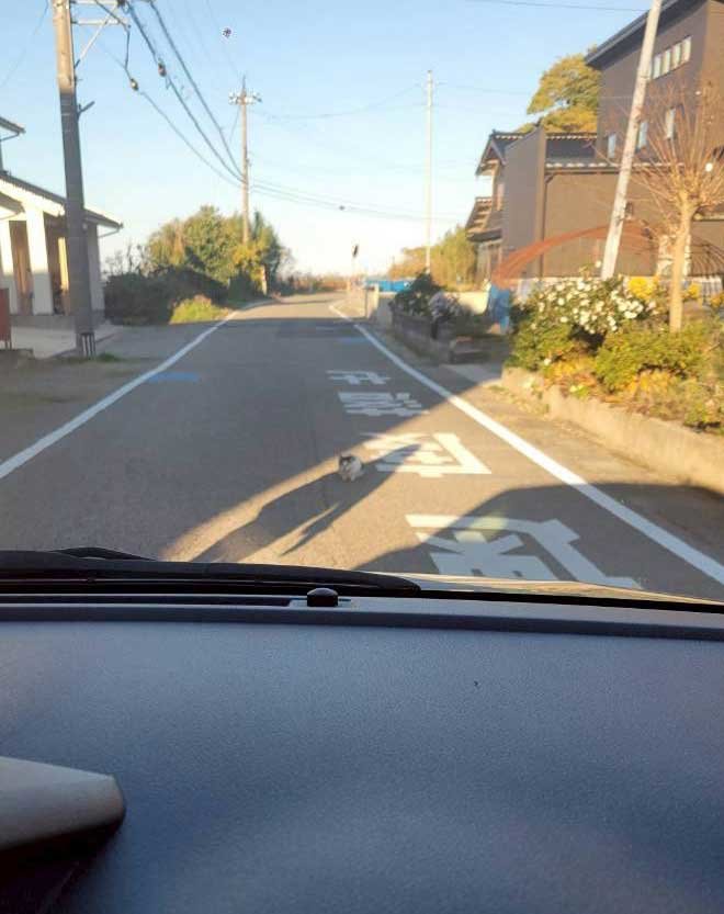 野々市 抗議.jpg