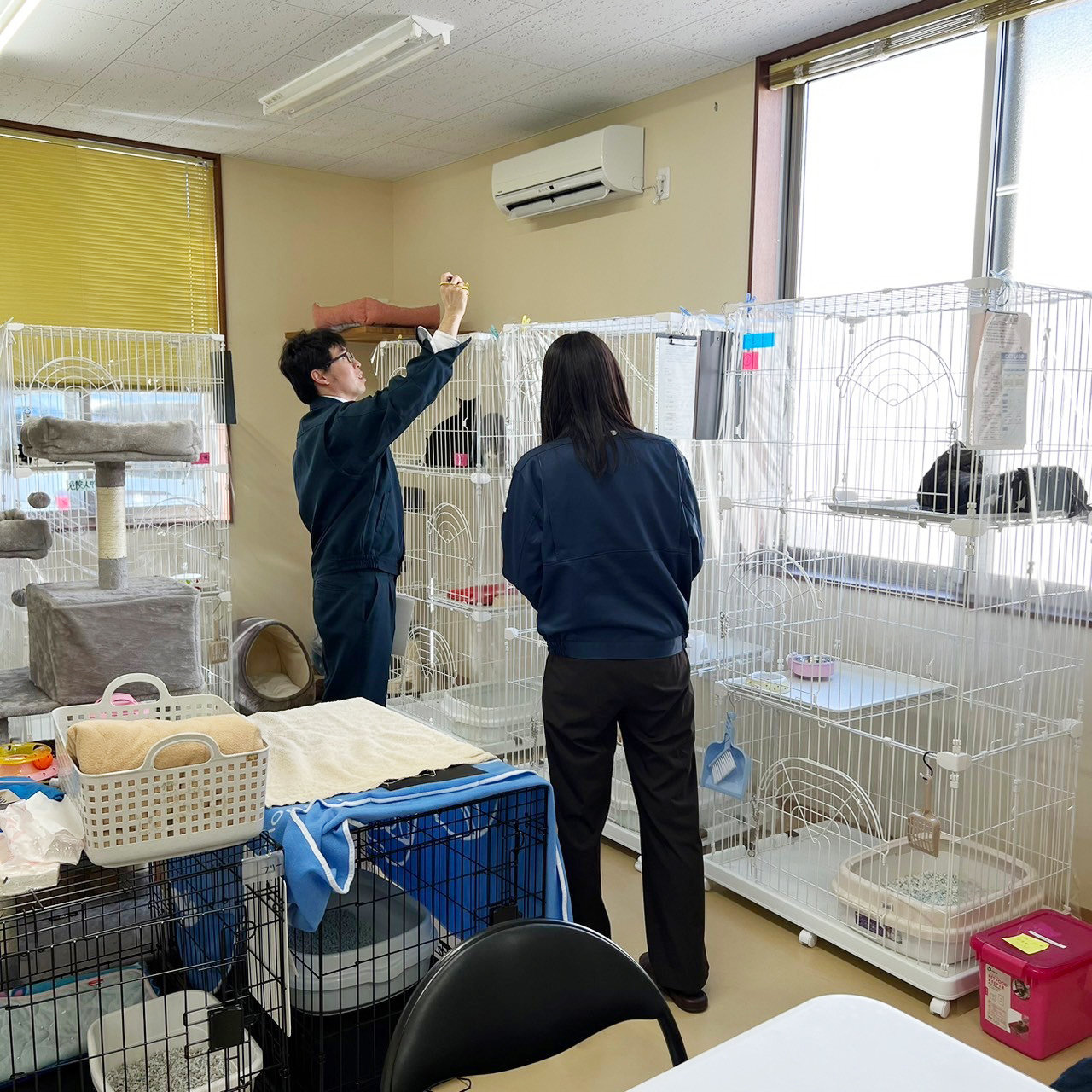 LINE_ALBUM_2024213石川県獣医師会会長　宮野先生の視察_240214_7.jpg